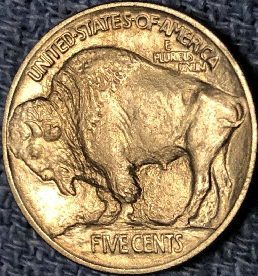 1913-5c-Buffalo-Nickel-#9
